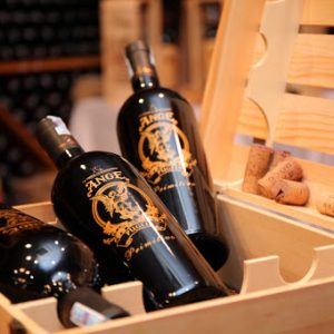 Rượu Vang Ý ANGE Primitivo Puglia
