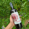 Rượu vang Tây Ban Nha Caravena
